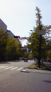 NEC_0051.jpg